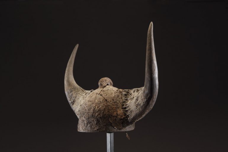 Horned Headcrest