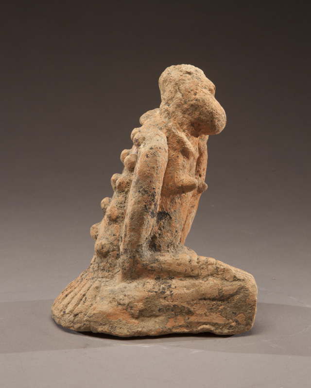 Seated Female Figure With Pestules on Back