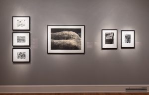 At center: Heihachiro Sakai (Japanese, b. 1930), <em>Untitled</em>, c. 1959, Gelatin silver print, Museum purchase, Tina Freeman Fund and funds provided by George and Milly Denegre, 2018.77 